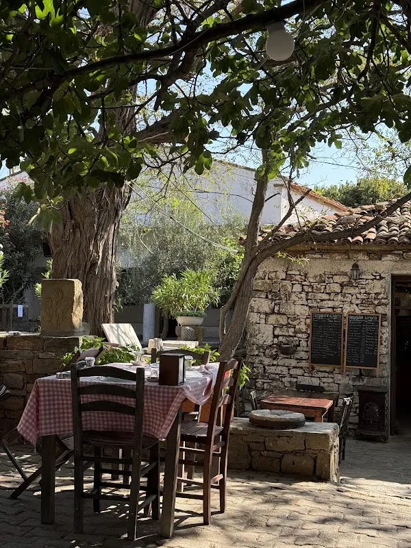 Mustafa'nın Kayfesi