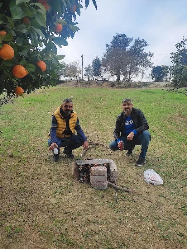 Çukurova Örcün Köyü