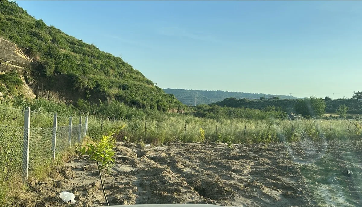 Uraz Çiftliği (Pirili, Çukurova, Adana)
