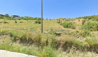 Dolunay izgara kofte salonu