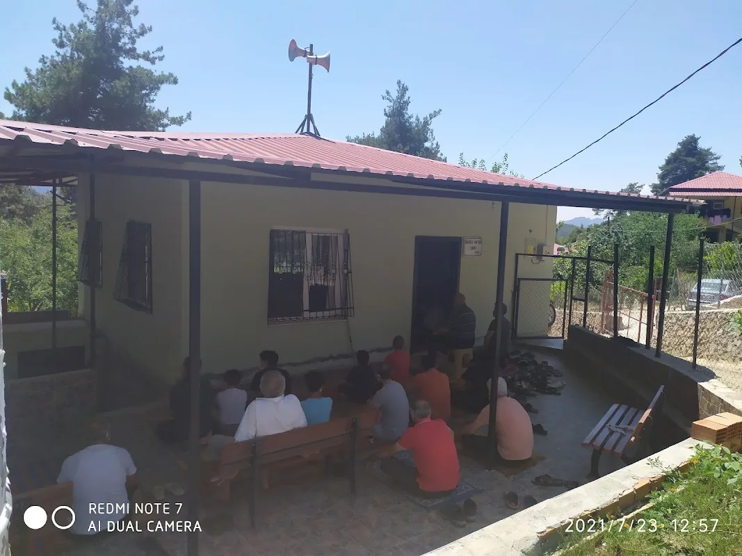 Sahibinin seçtikleri