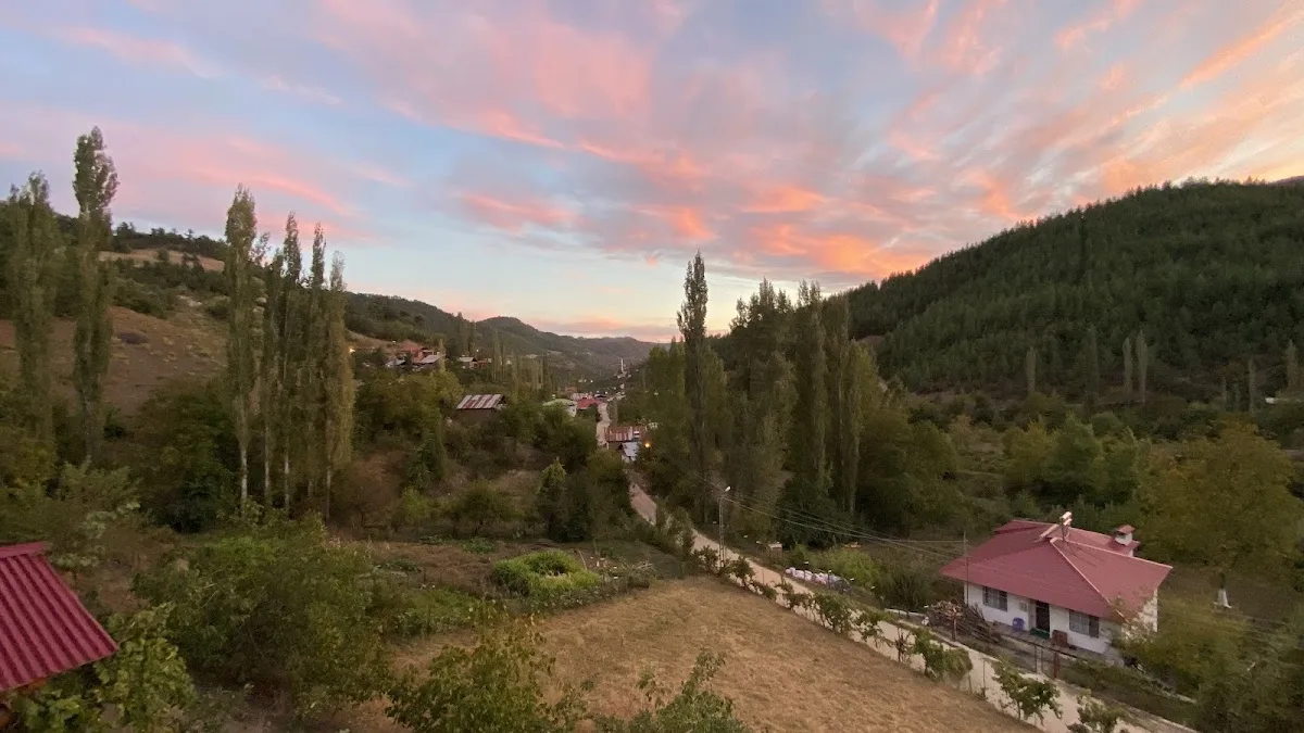 Gedikli