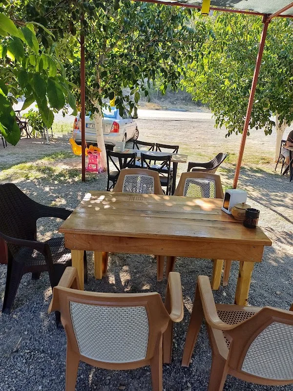 Muhtarın Yeri, Cevizli Bahçe