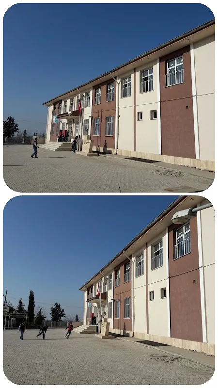 Yarımbağ