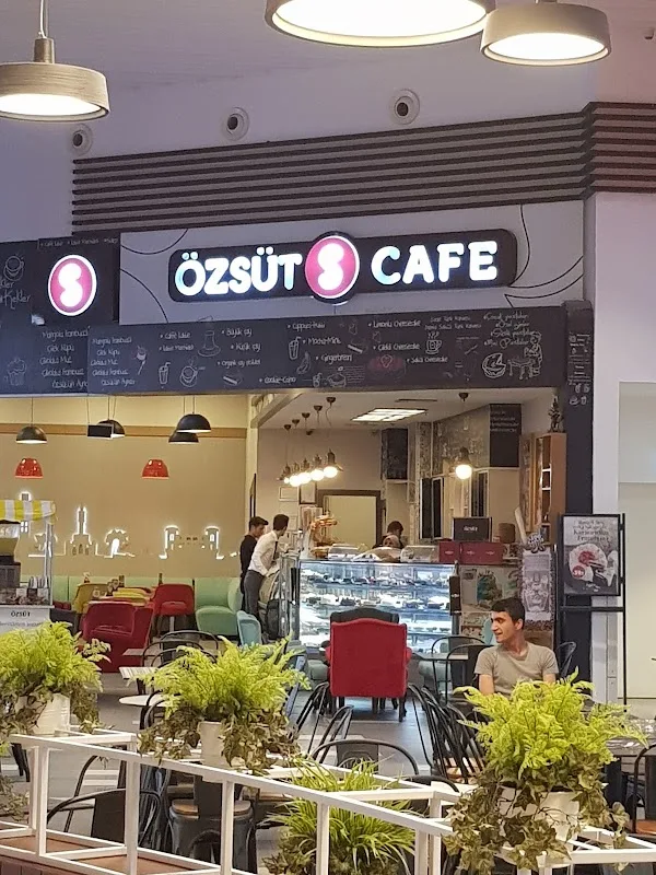 Özsüt