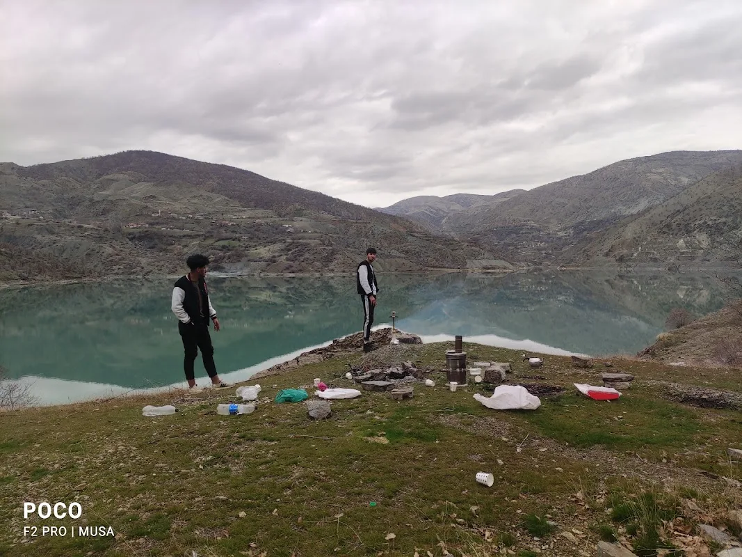 gence logine piknik alanı