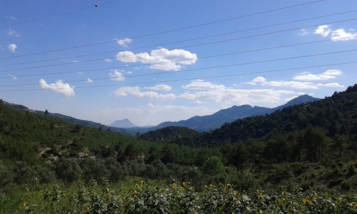Kaşaltı
