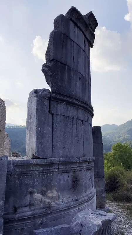 Videolar