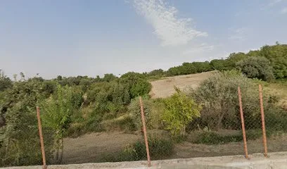 Tostçu özcan
