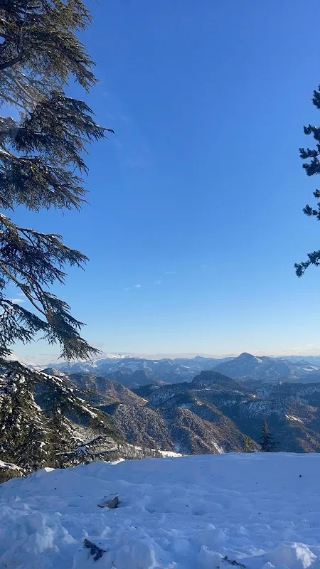Çataloluk Yaylası
