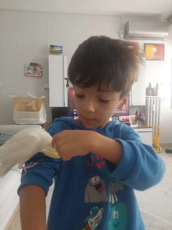 Yavaş Kardeşler Et Lokantası