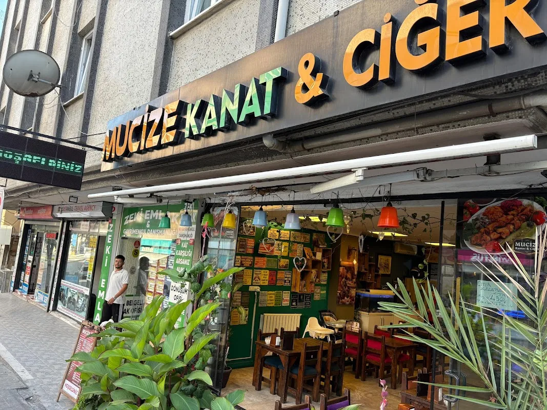 MUCİZE Kanat & Ciğer