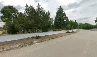 HAZAL MARKET