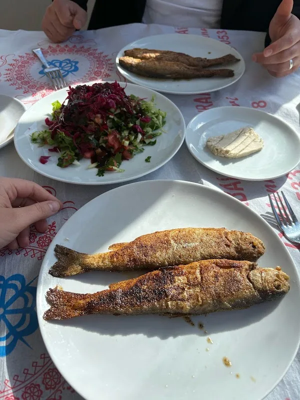 Avcı Alabalık Su ürünleri Dinlenme Tesisleri