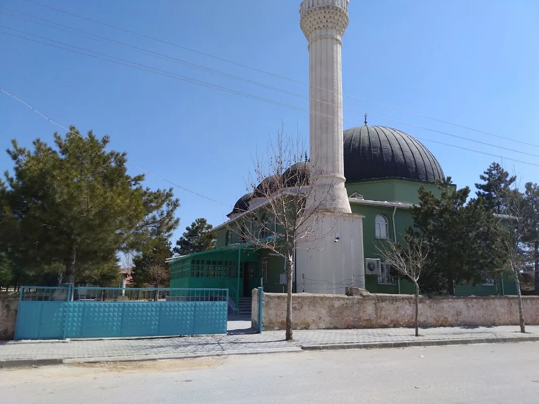 Alaca Cami