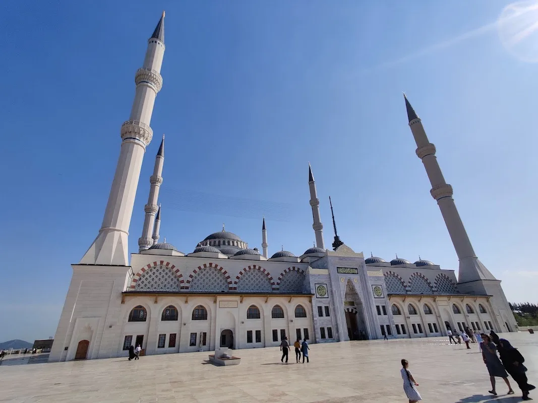 Tümü