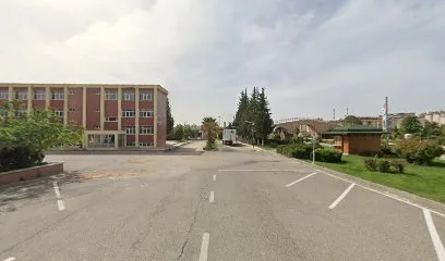 Fizik tedavi