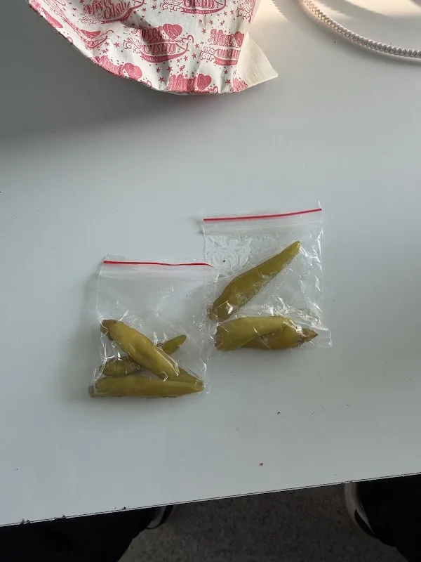 Rotam döner Kağızman