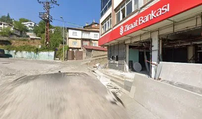 Damak tadım