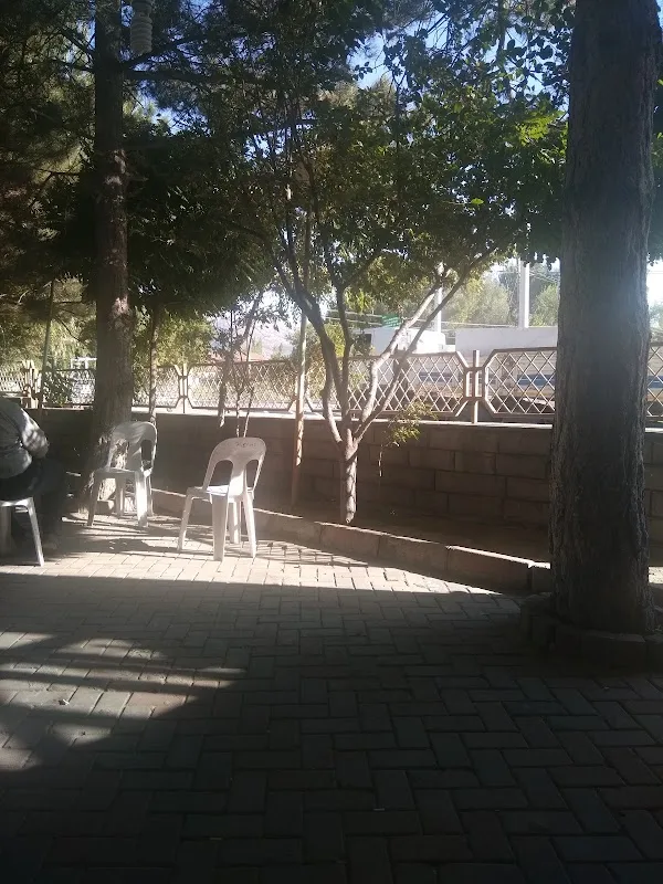 Çamlı Cafe Park