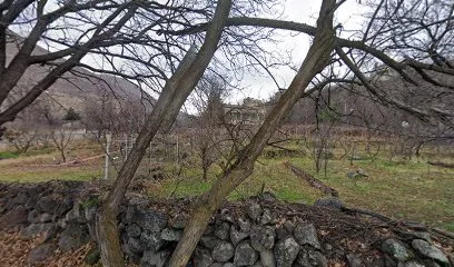 Seyyar kebapçı murat
