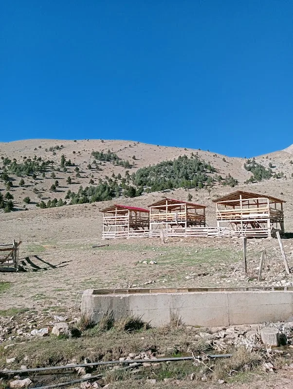 Yaşar Fırın