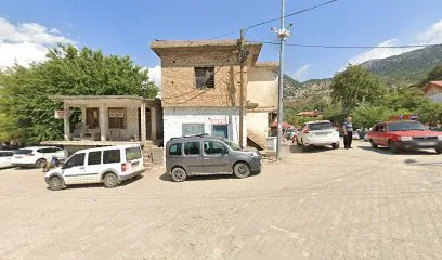Berber