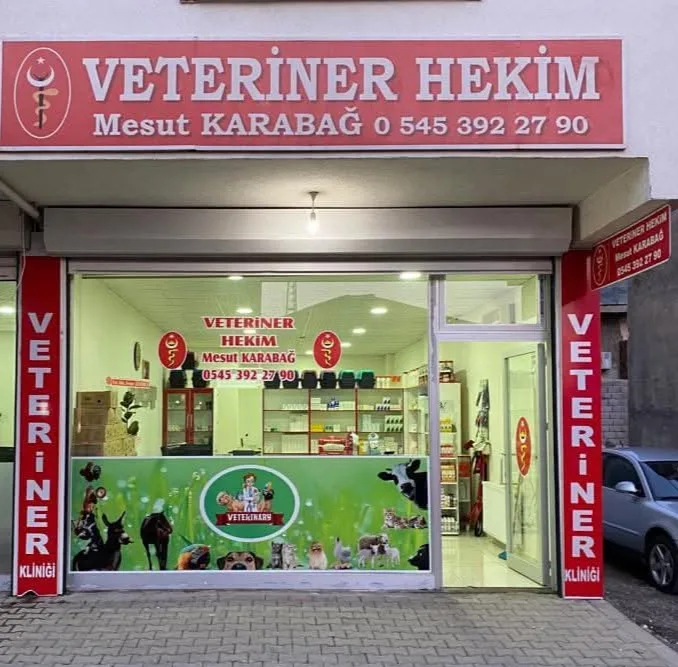 VETERİNER HEKİM MESUT KARABAĞ