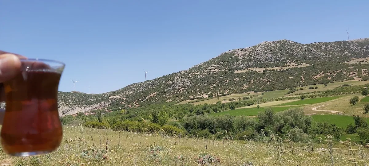 Bülüçalanı