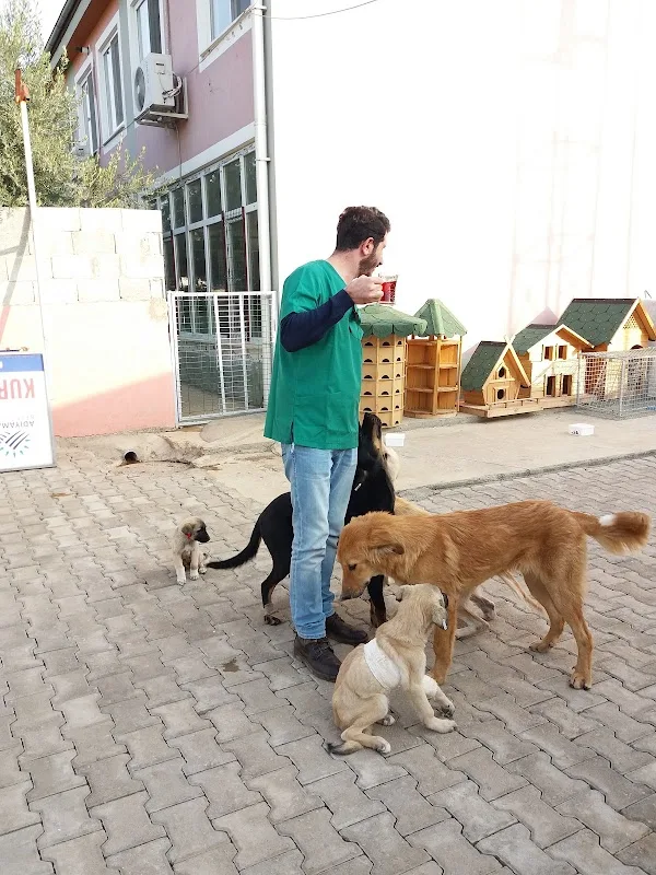 Adıyaman Belediyesi Veteriner Müdürlüğü