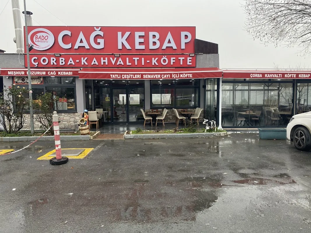 Bado Babadostu Cag kebap
