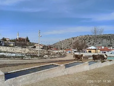 Güneysaray