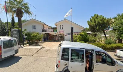 Tatlı Penguen Pastanesi