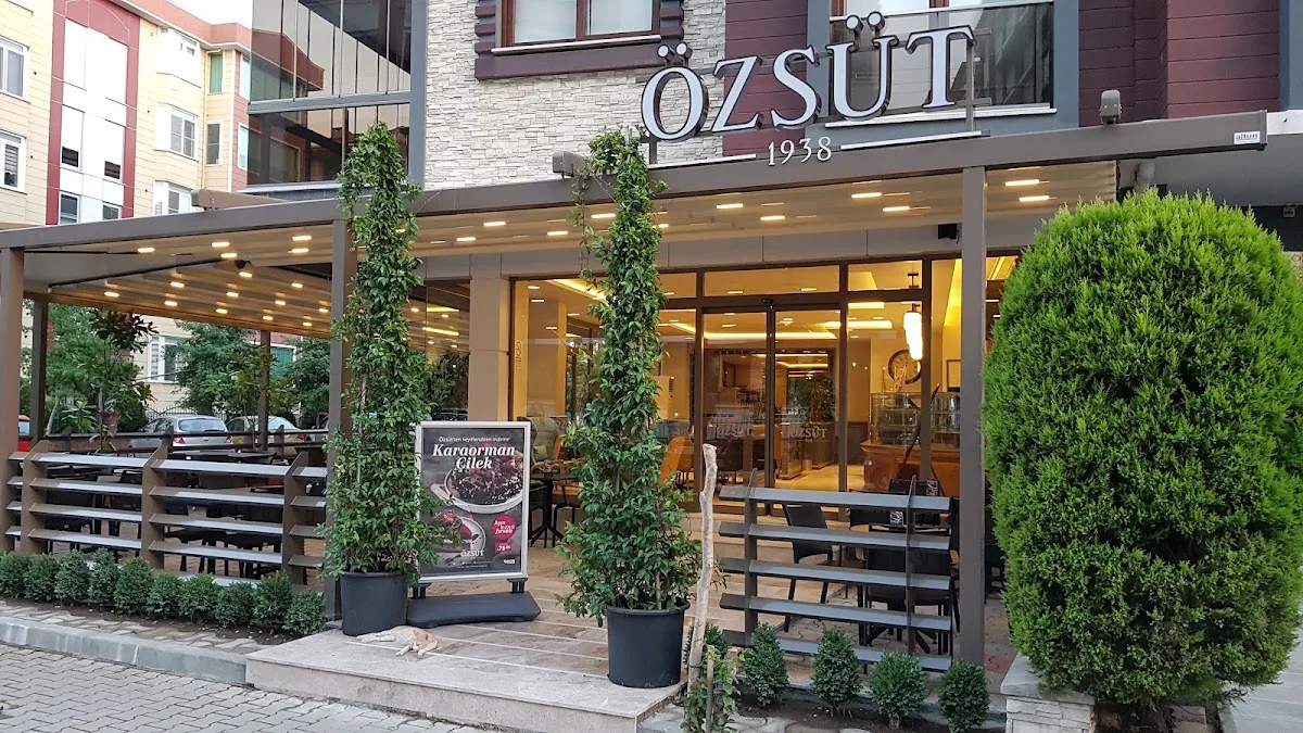 Özsüt