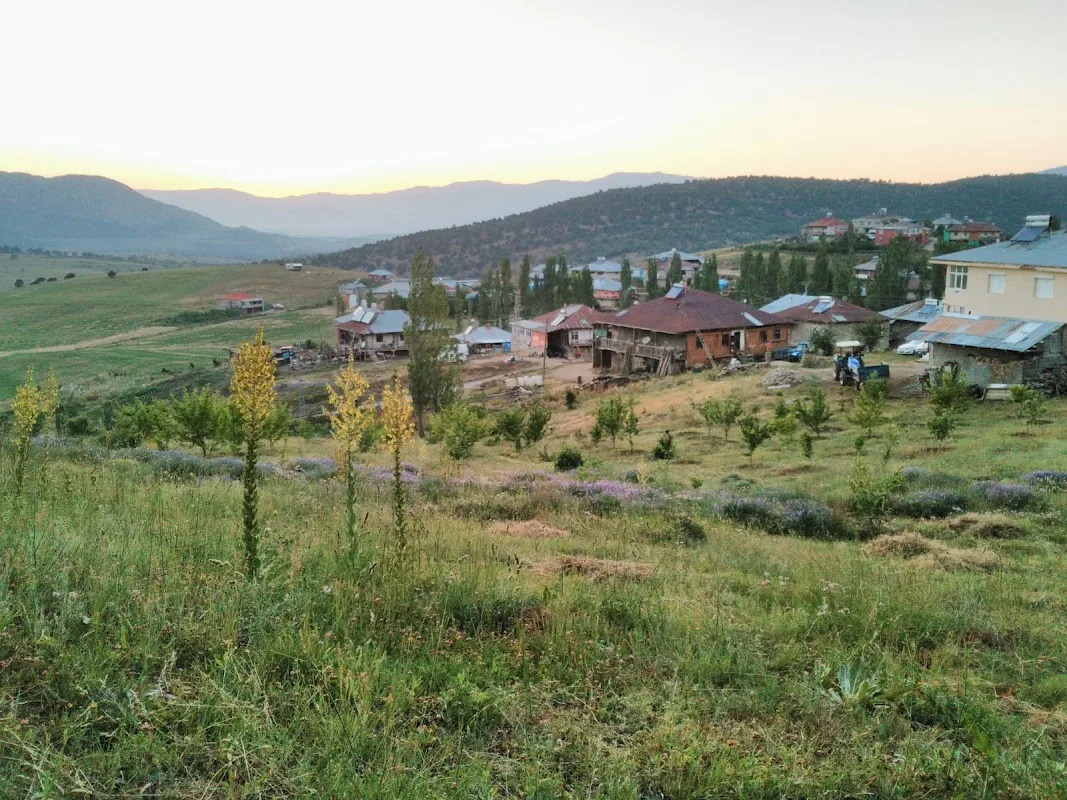 Beypınarı