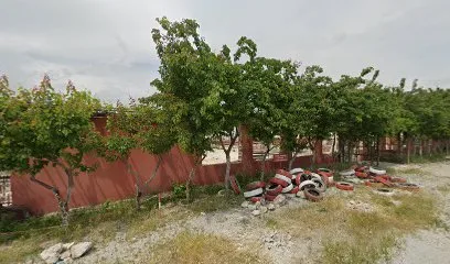 Şahin Tepesi Aile Çay Bahçesi