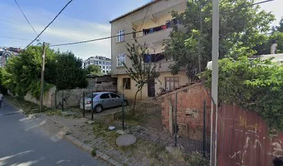 Gizem Pastanesi