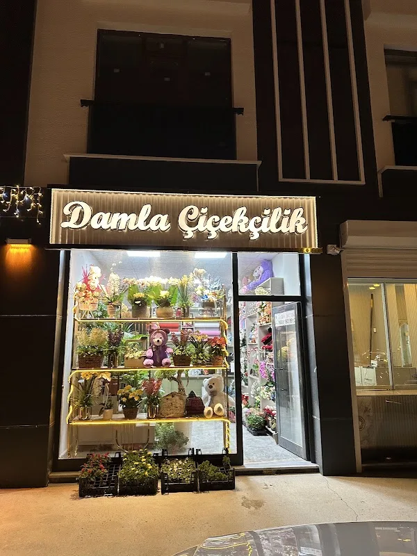 BİTLİS DAMLA ÇİÇEKÇİLİK & ORGANİZASYON