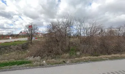 Has Tavuk Emirdağ
