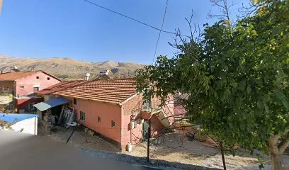 Uzel