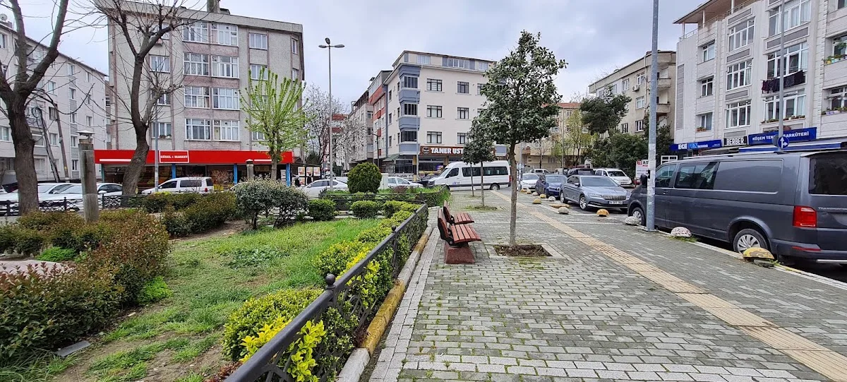 Üniversite