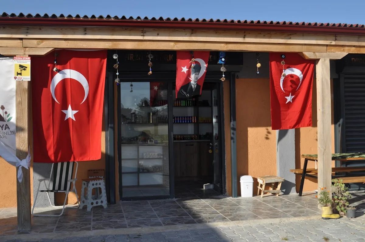 LOVE'S MİRACLE