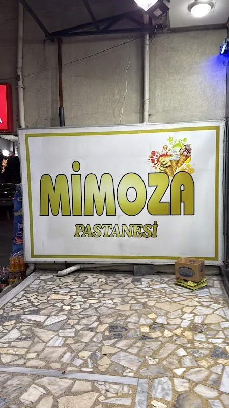 Mimoza Pastanesi