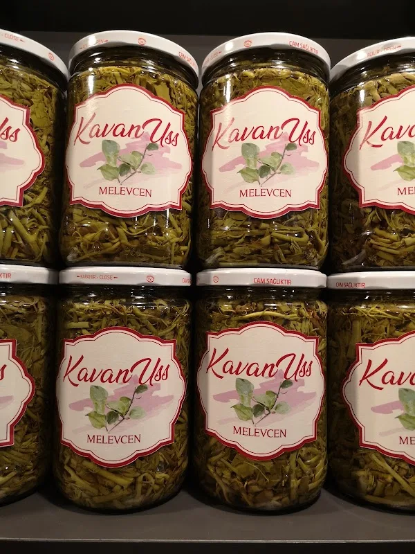KAVANUSS