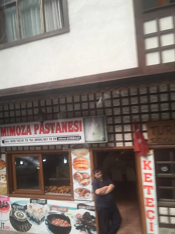 Mimoza Pastanesi