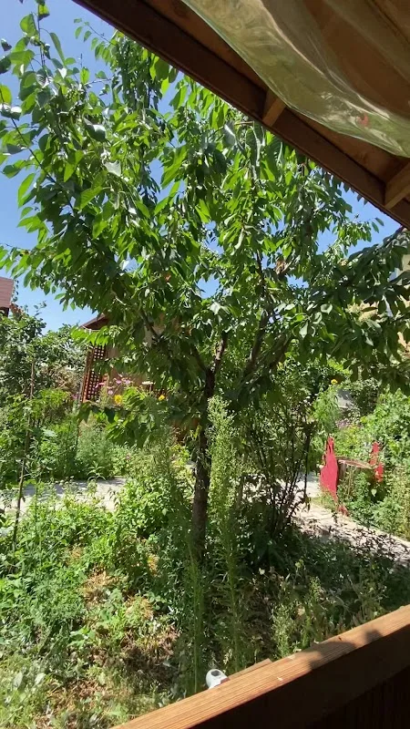 Çilekli Bahçe Yöre Sofrası