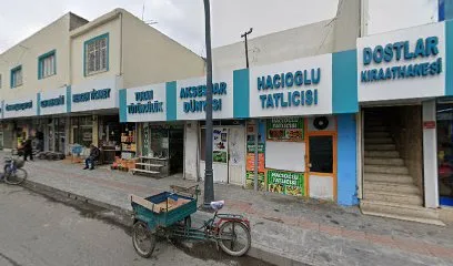 Eda Pastanesi