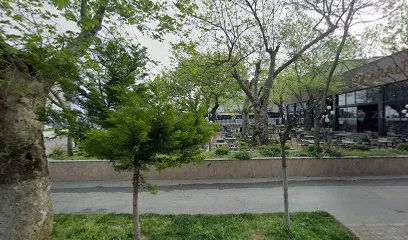 ÇENGELKÖY BÖREKÇİSİ ÇINARCIK ŞUBESİ