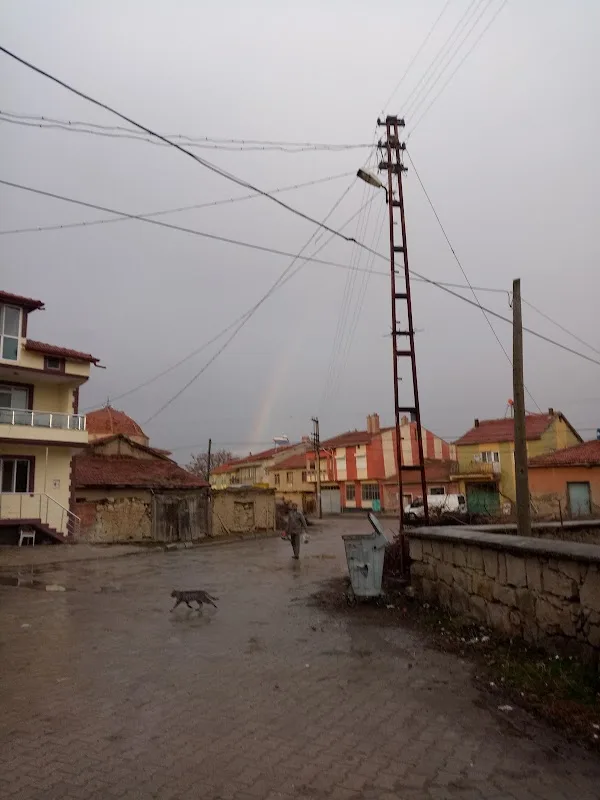 Gencer Bakkaliyesi