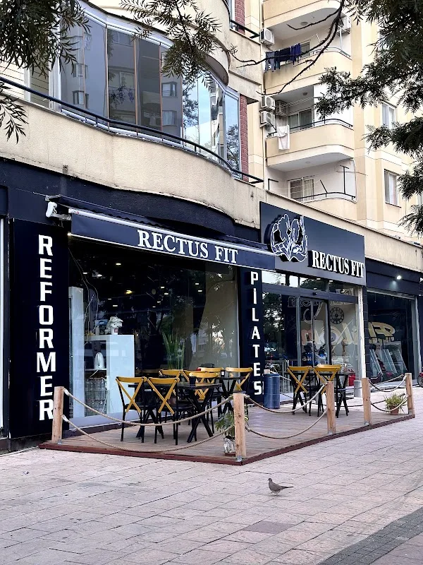 Rectus Fit